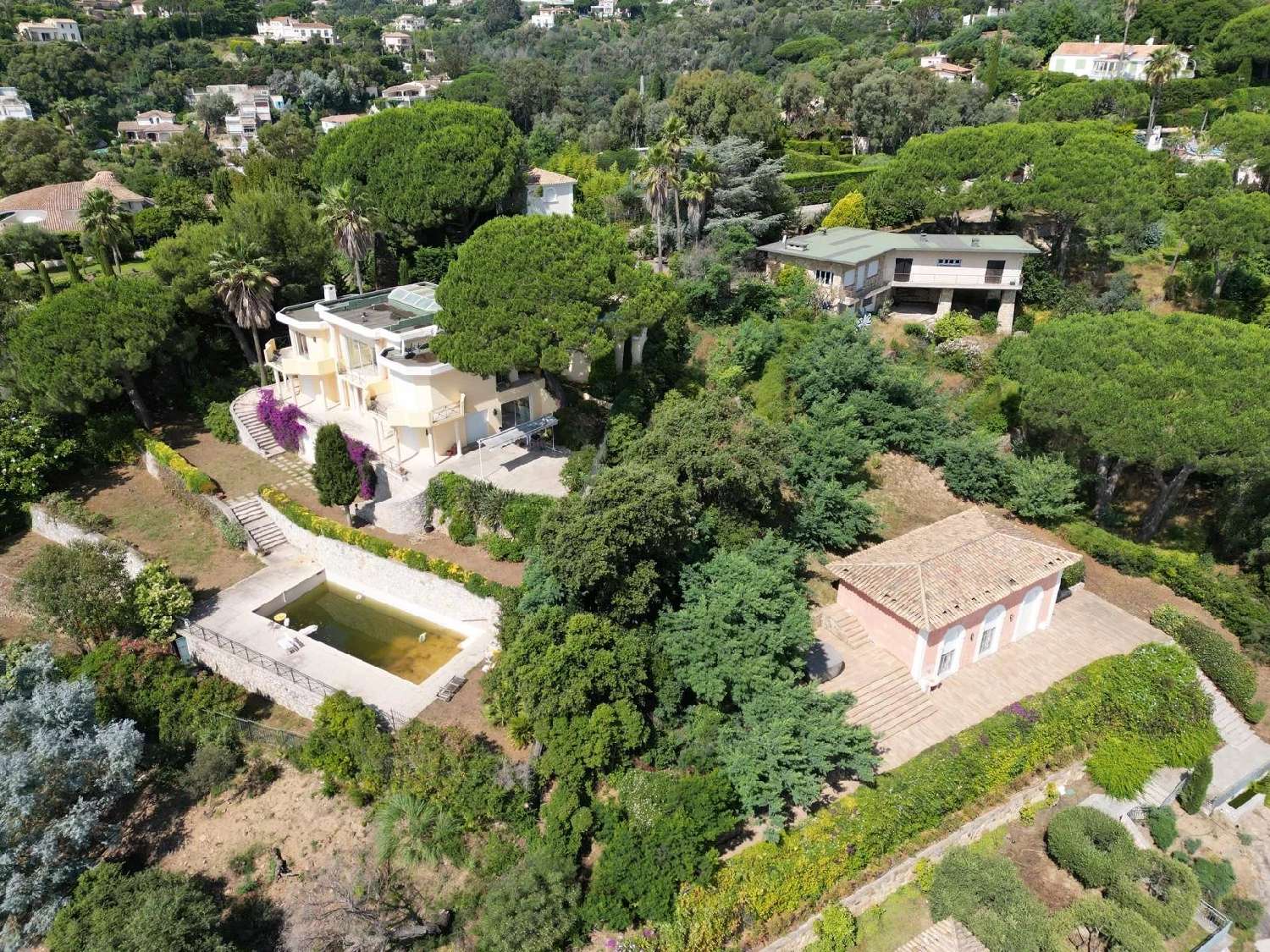  kaufen Villa Cannes Alpes-Maritimes 5