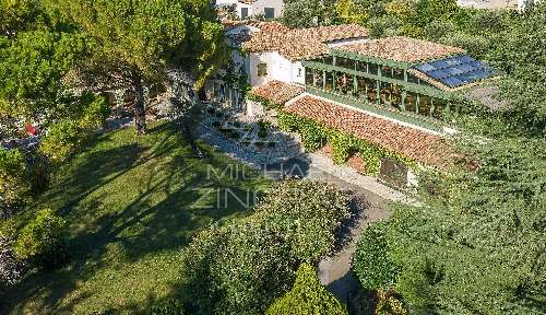 Grasse Alpes-Maritimes Villa Bild 7056967