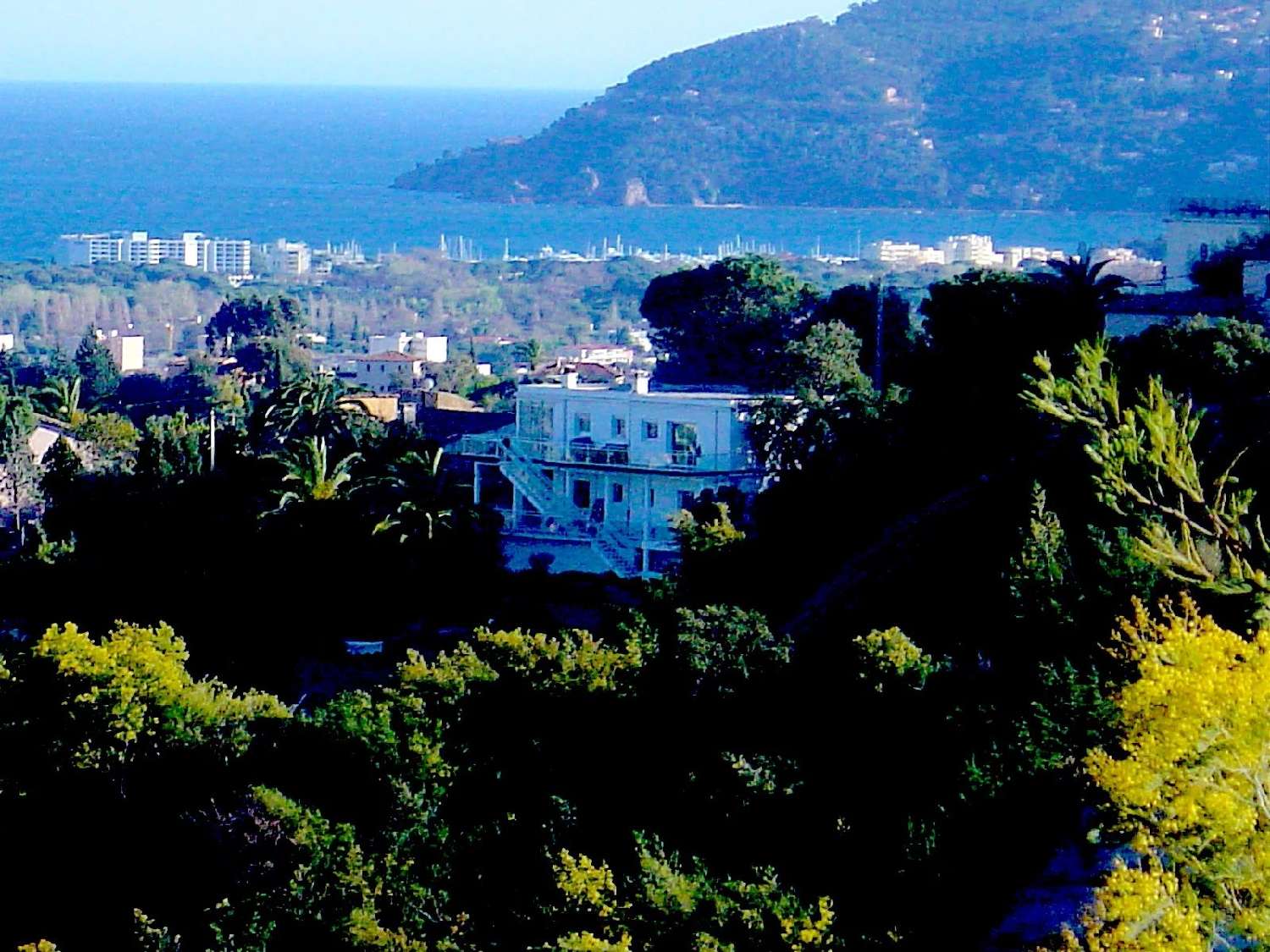  kaufen Villa Mandelieu-la-Napoule Alpes-Maritimes 7