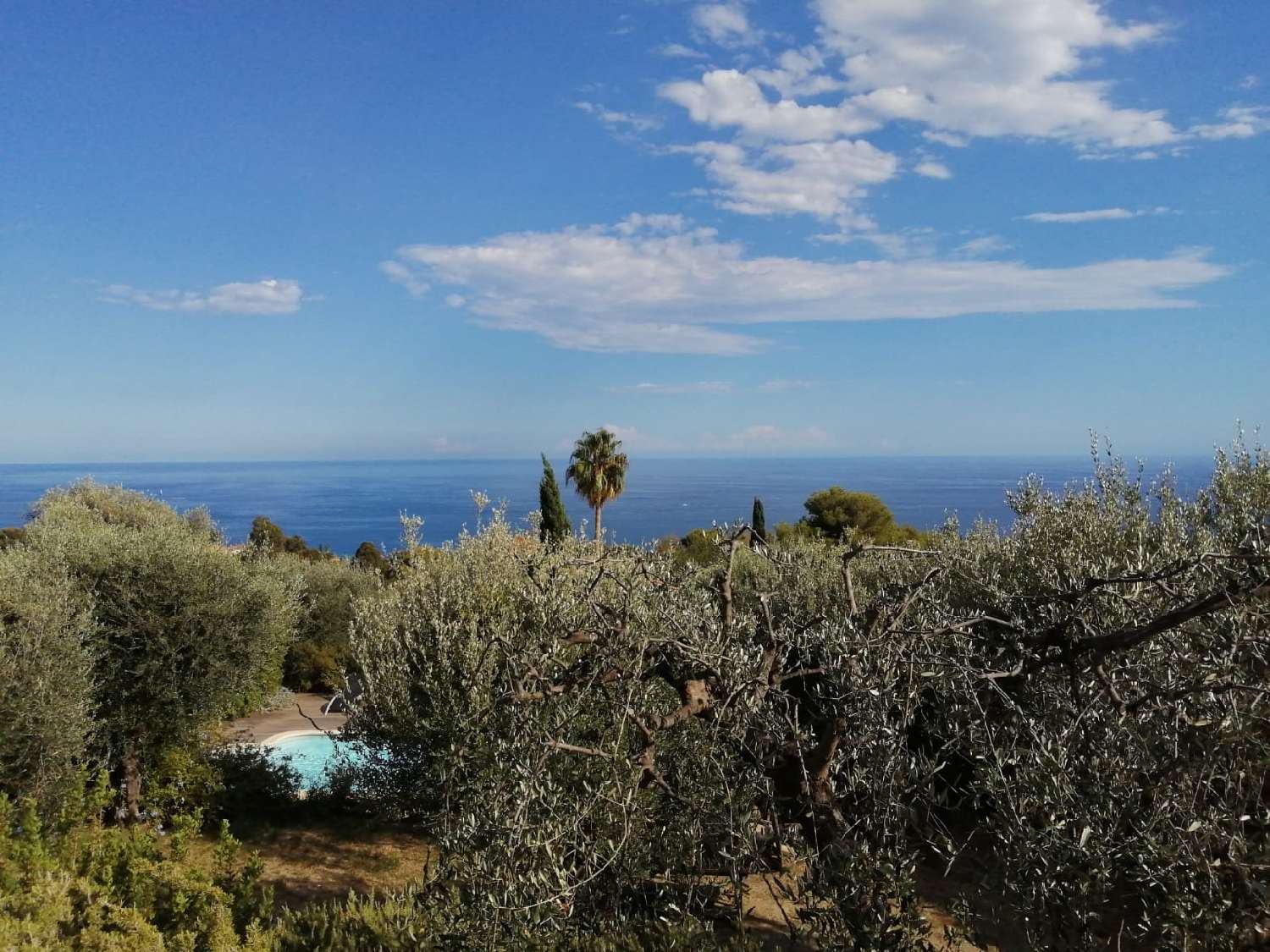  kaufen Villa Menton Alpes-Maritimes 2
