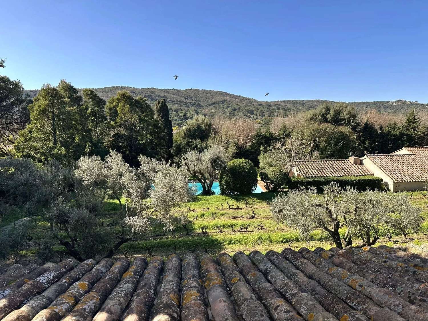  kaufen Villa Saint-Tropez Var 2