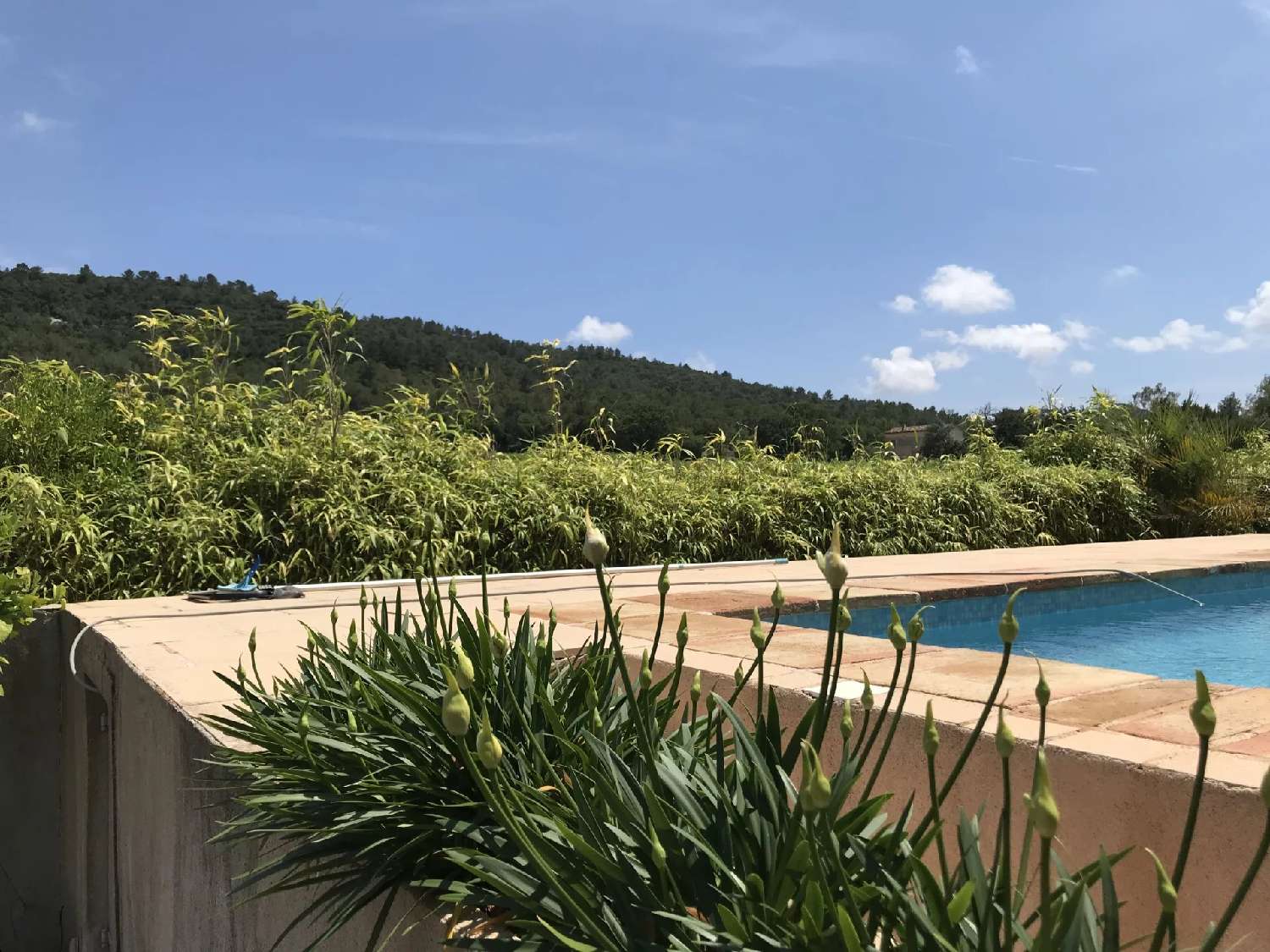  kaufen Villa Toulon Var 7