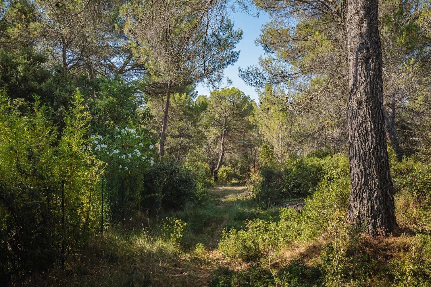  kaufen Villa Venelles Bouches-du-Rhône 7