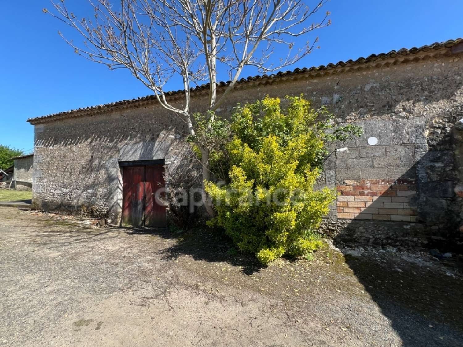  kaufen Dorfhaus Chepniers Charente-Maritime 3