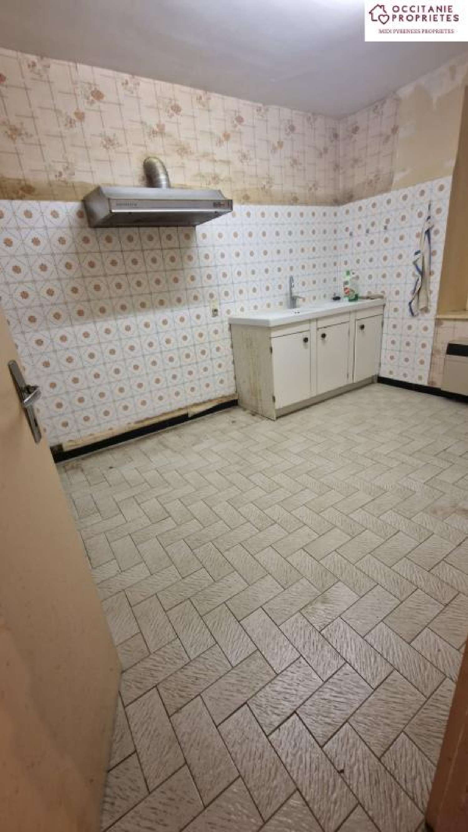  kaufen Dorfhaus Fougax-et-Barrineuf Ariège 4