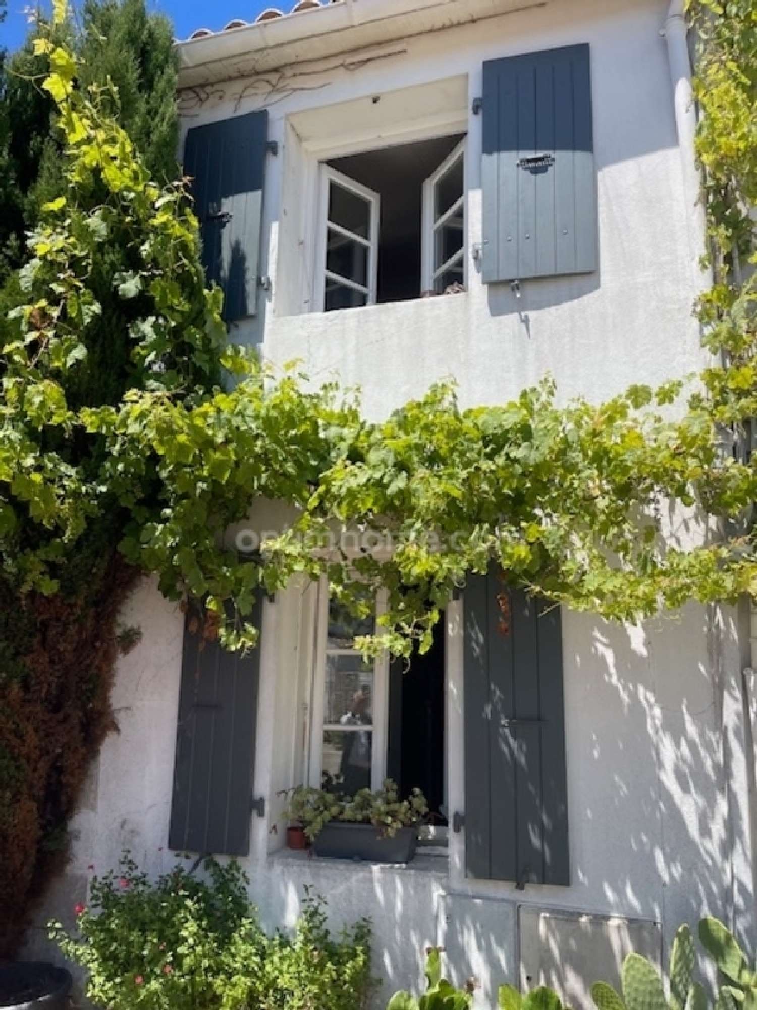  kaufen Dorfhaus Saint-Martin-de-Ré Charente-Maritime 8