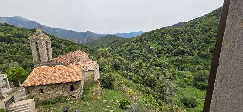 Arbori Corse-du-Sud Wohnung/ Apartment Bild 7062278