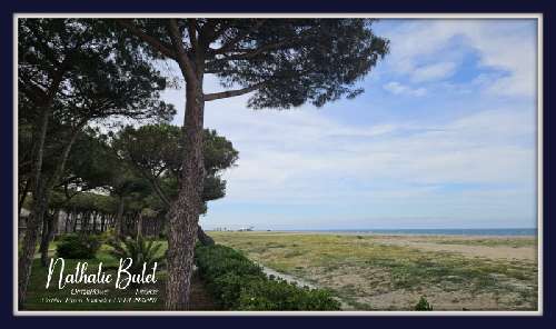 Argelès-sur-Mer Pyrénées-Orientales appartement foto 7062994