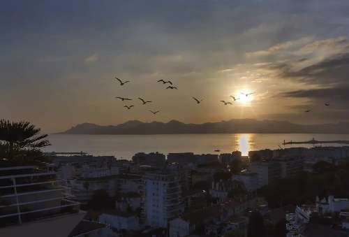 Cannes La Bocca Alpes-Maritimes appartement foto 7059935