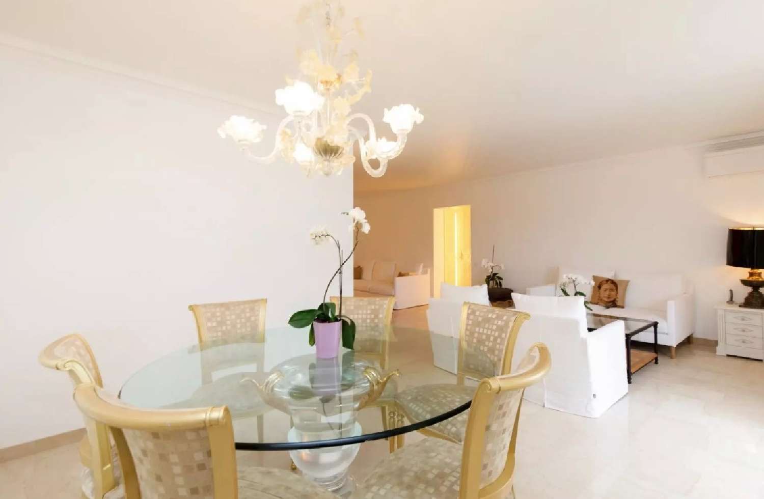  à vendre appartement Cannes La Bocca Alpes-Maritimes 4