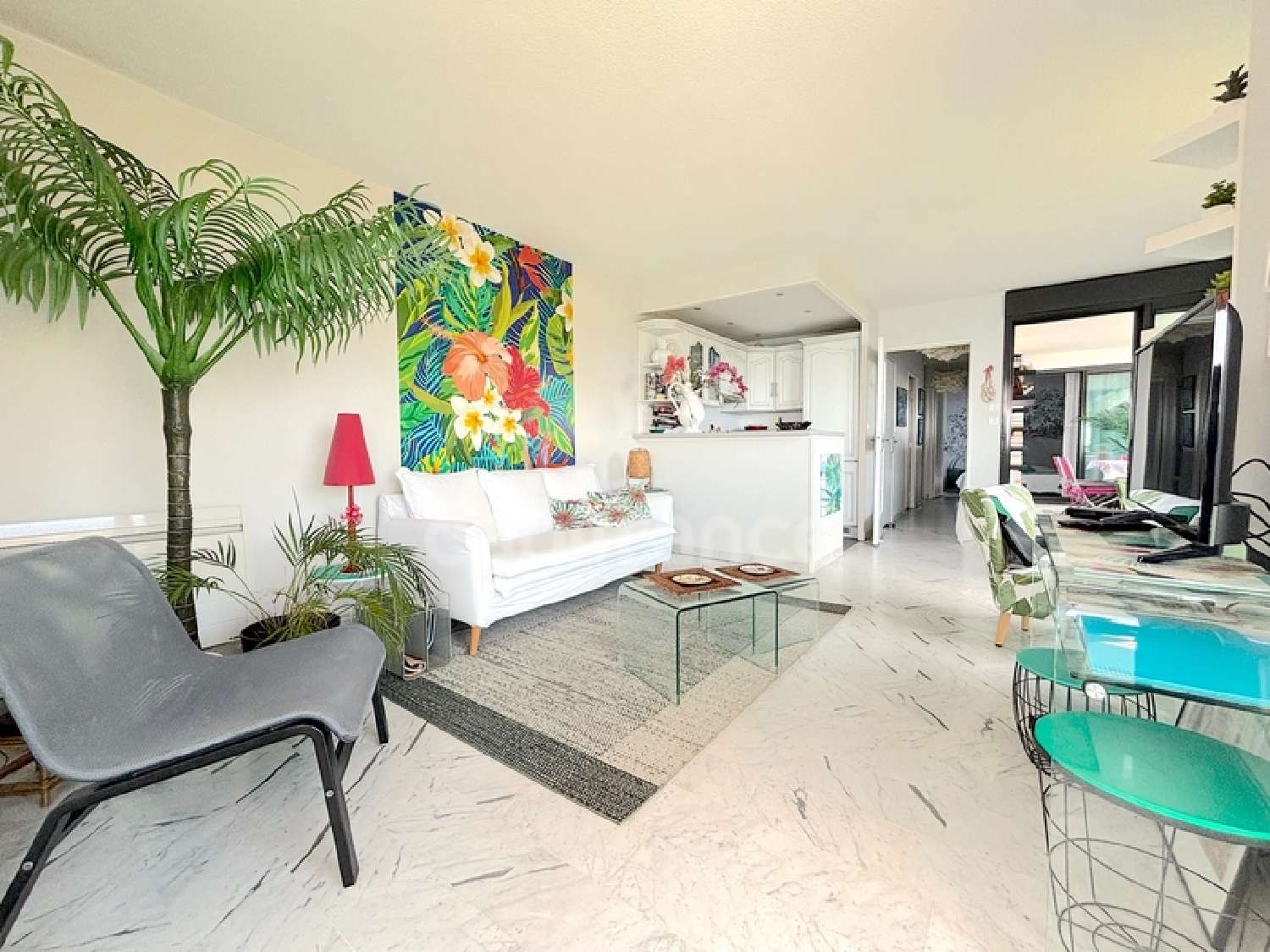  à vendre appartement Cannes La Bocca Alpes-Maritimes 4
