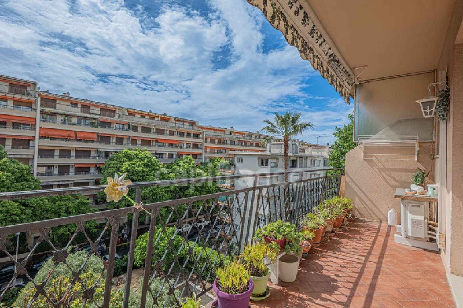  te koop appartement Cannes Alpes-Maritimes 2