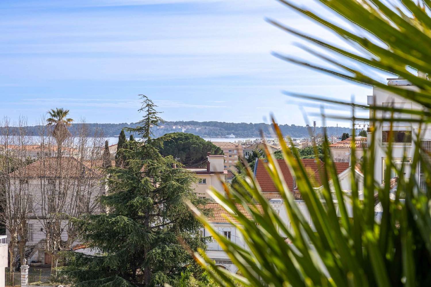  en venta apartamento Cannes Alpes-Maritimes 2
