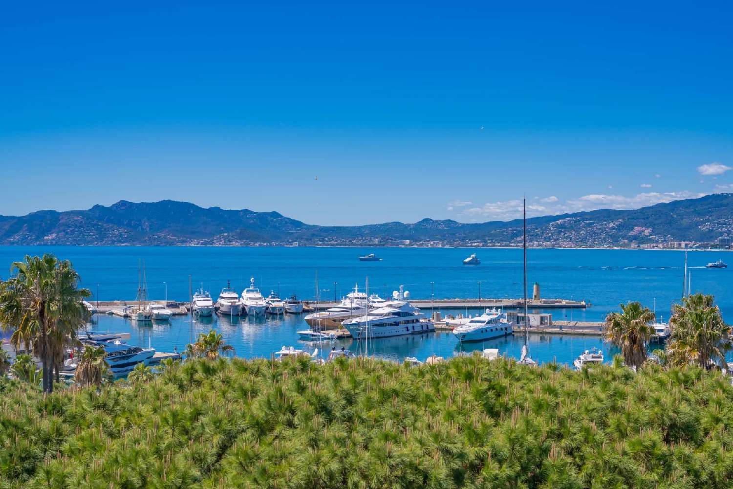  à vendre appartement Cannes Alpes-Maritimes 4
