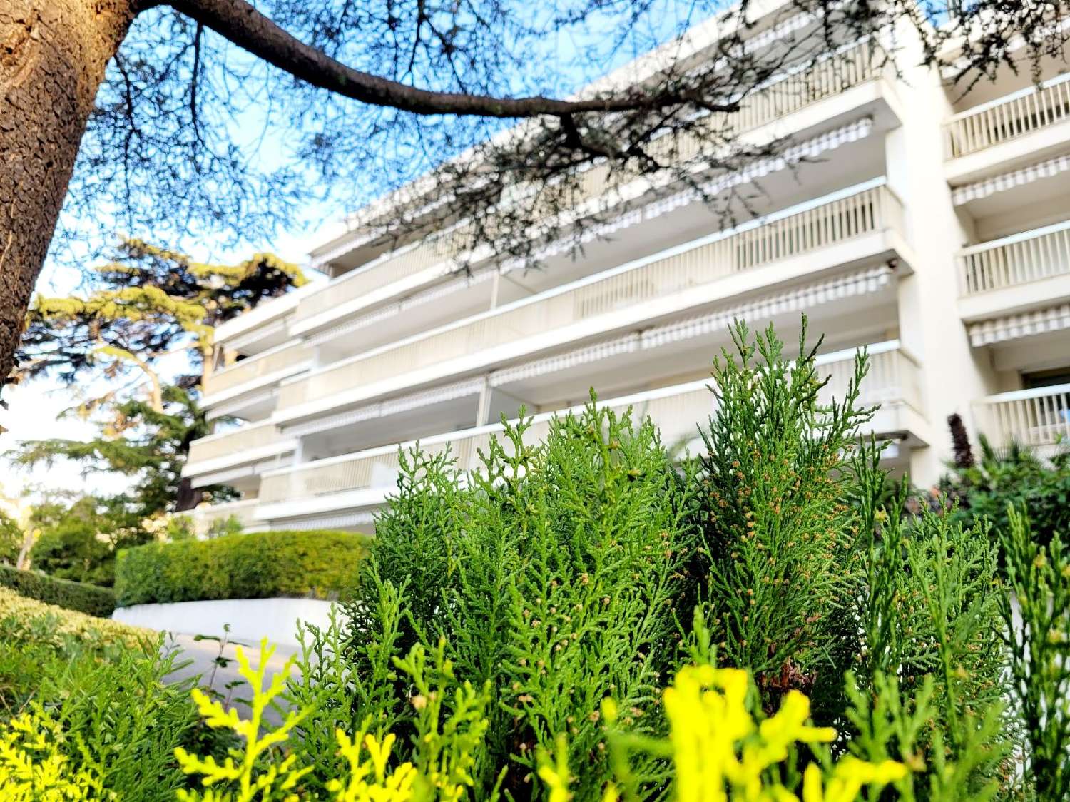  te koop appartement Cannes Alpes-Maritimes 2