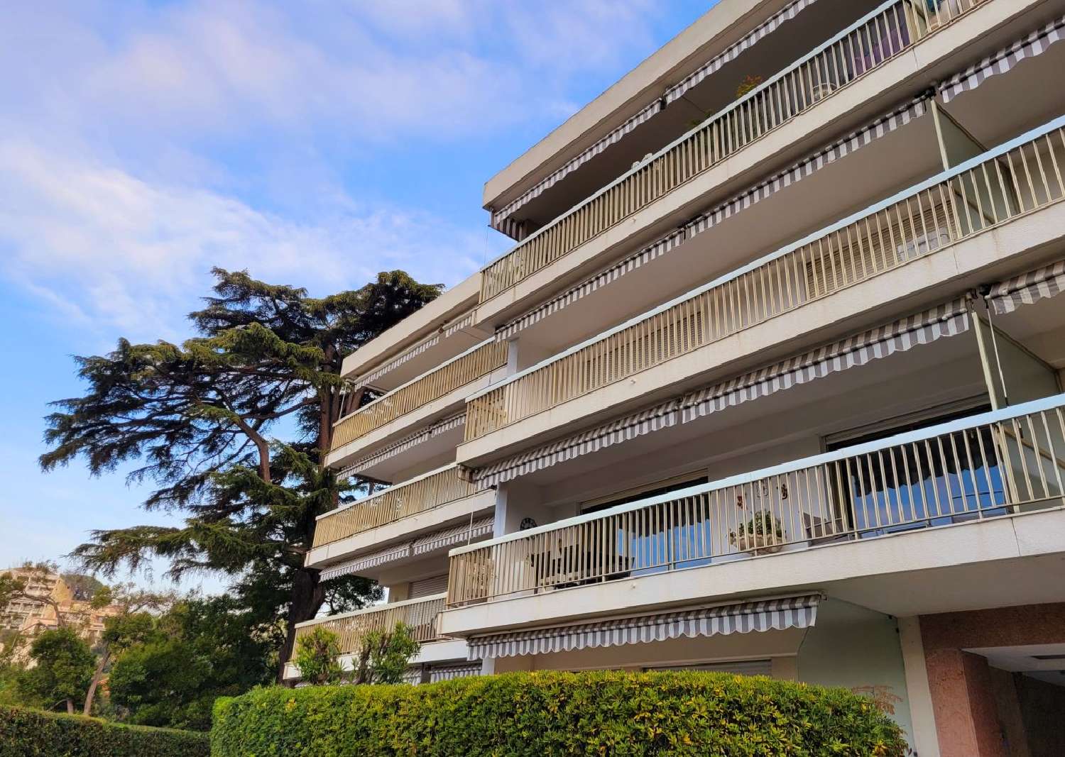  te koop appartement Cannes Alpes-Maritimes 4