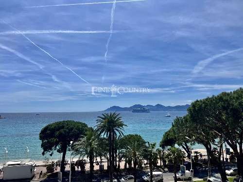Cannes Alpes-Maritimes appartement foto 7066191