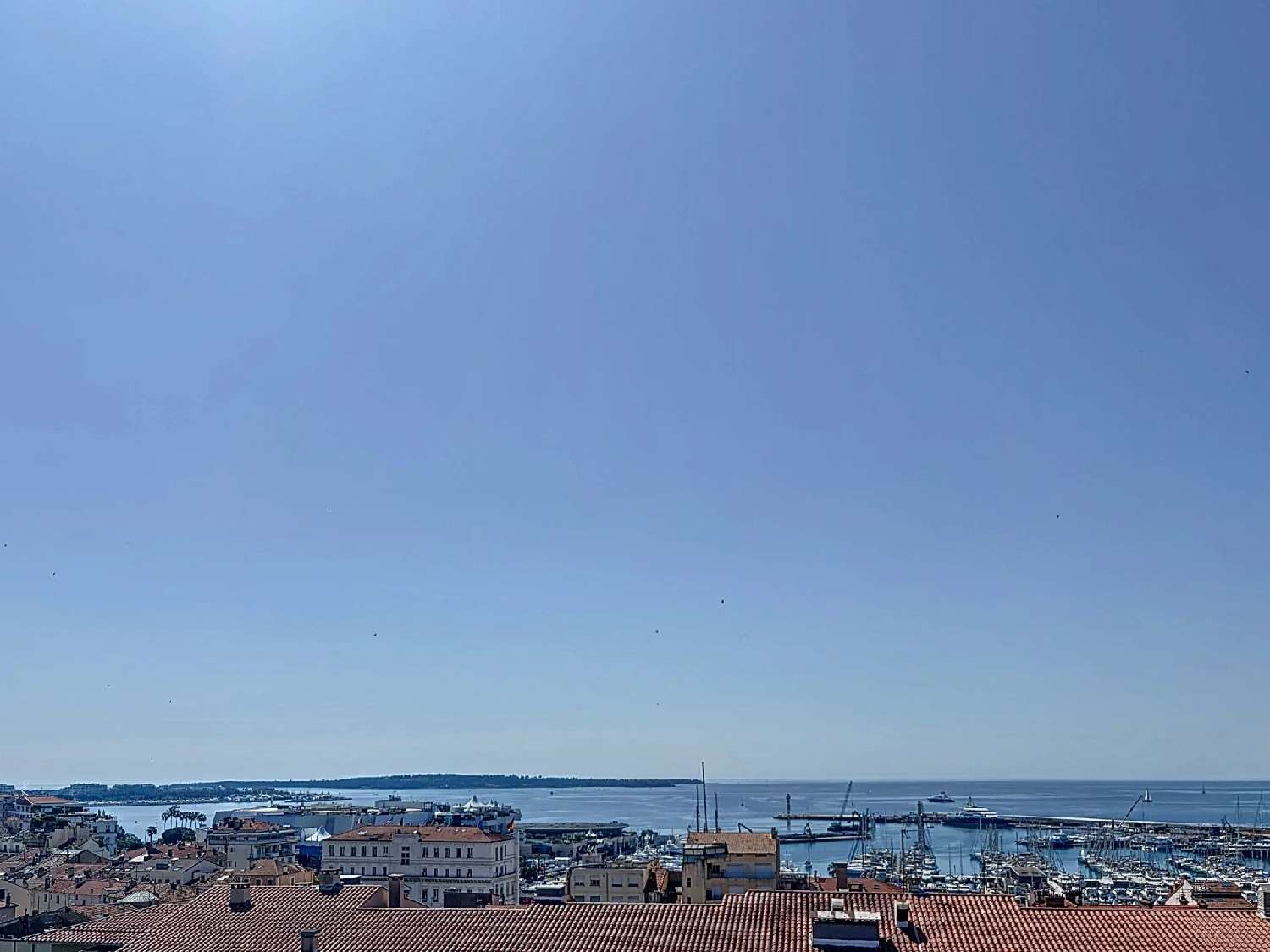  te koop appartement Cannes Alpes-Maritimes 1