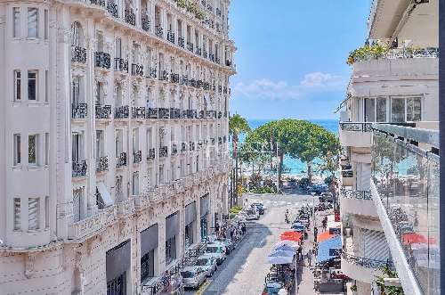Cannes Alpes-Maritimes Wohnung/ Apartment Bild 7069434