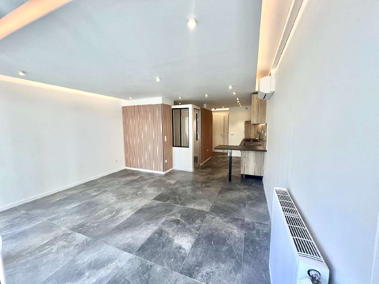  for sale apartment Cannes Alpes-Maritimes 5