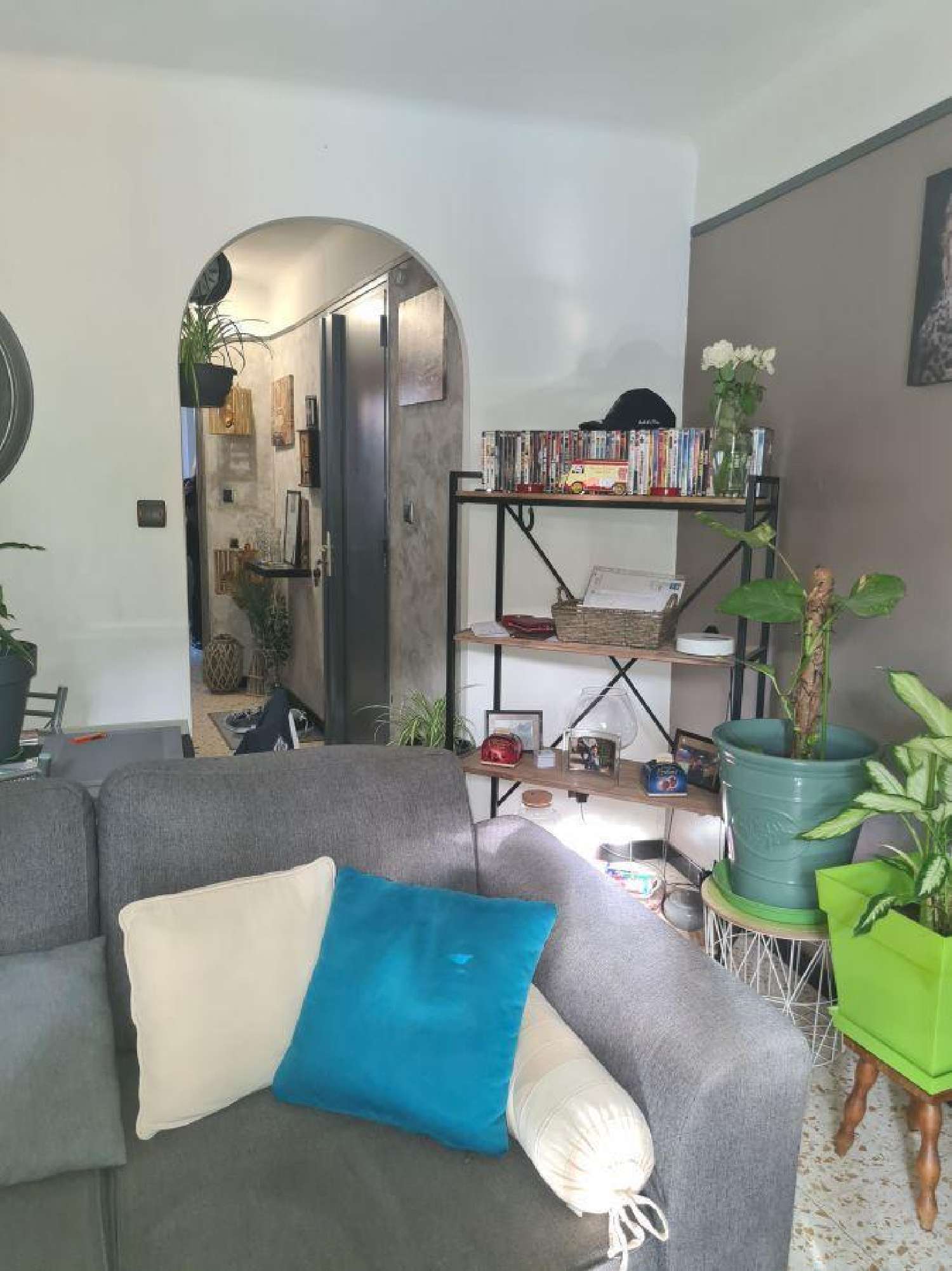  te koop appartement Céret Pyrénées-Orientales 3