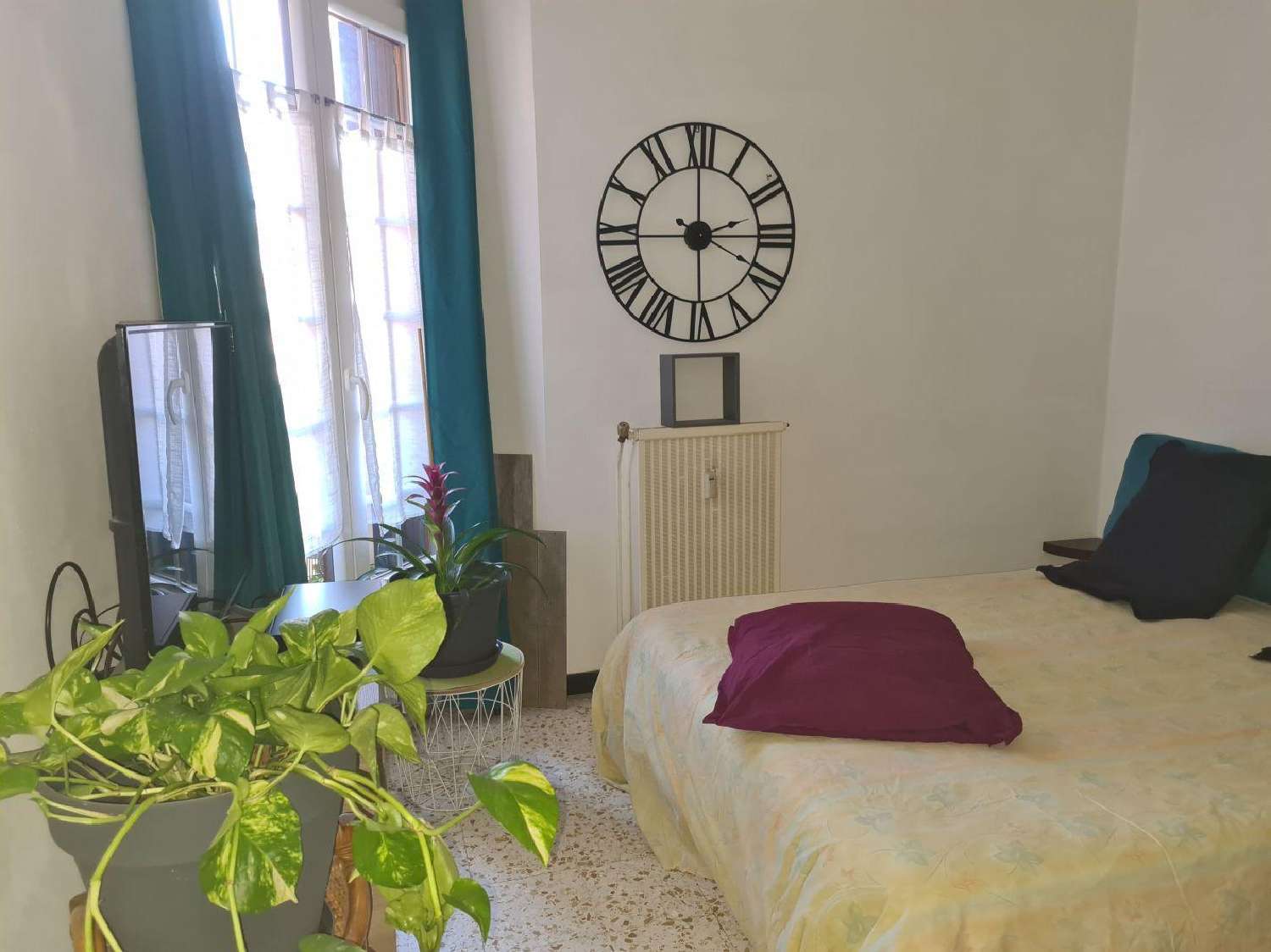  te koop appartement Céret Pyrénées-Orientales 4