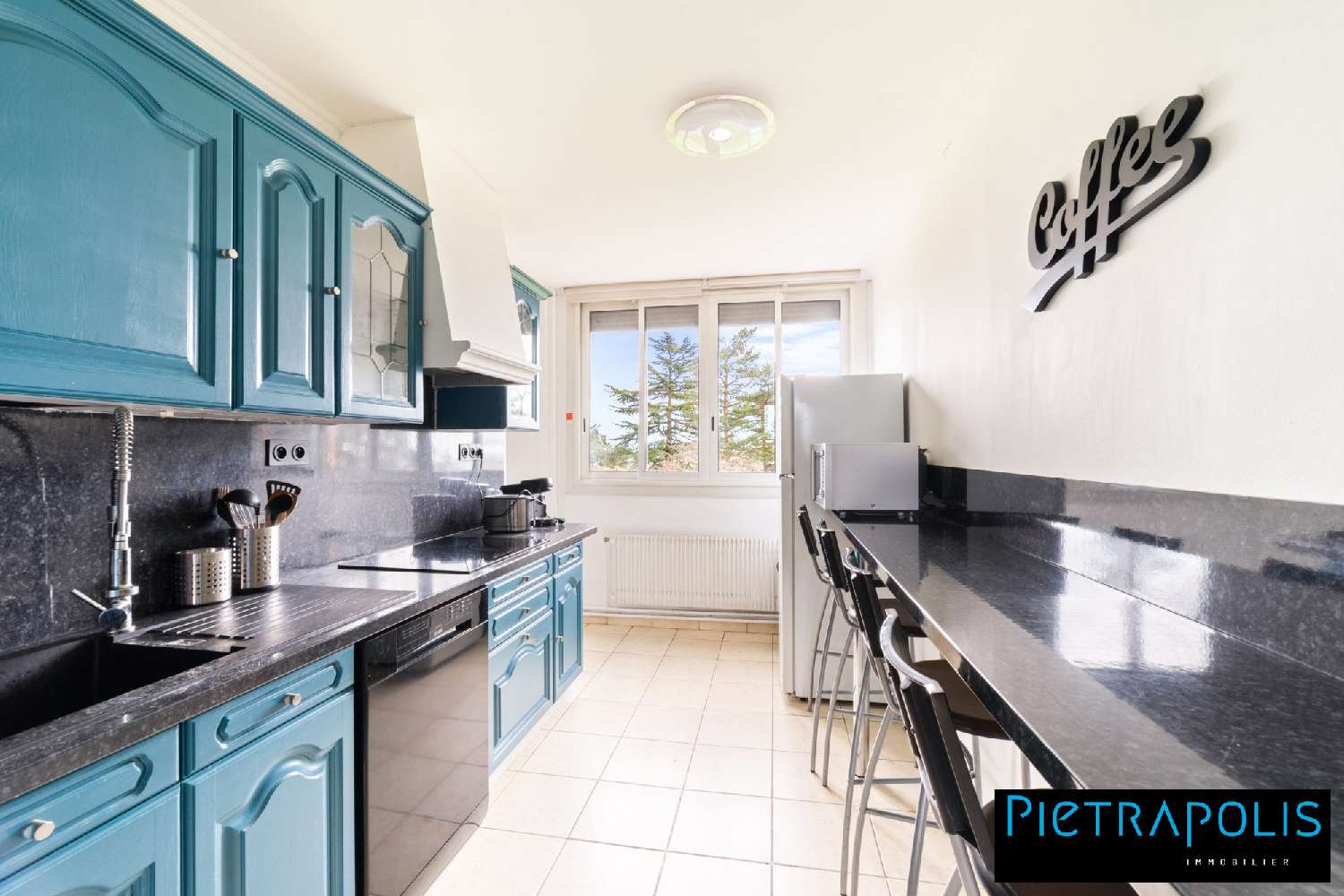  te koop appartement Champagne-au-Mont-d'Or Rhône 1