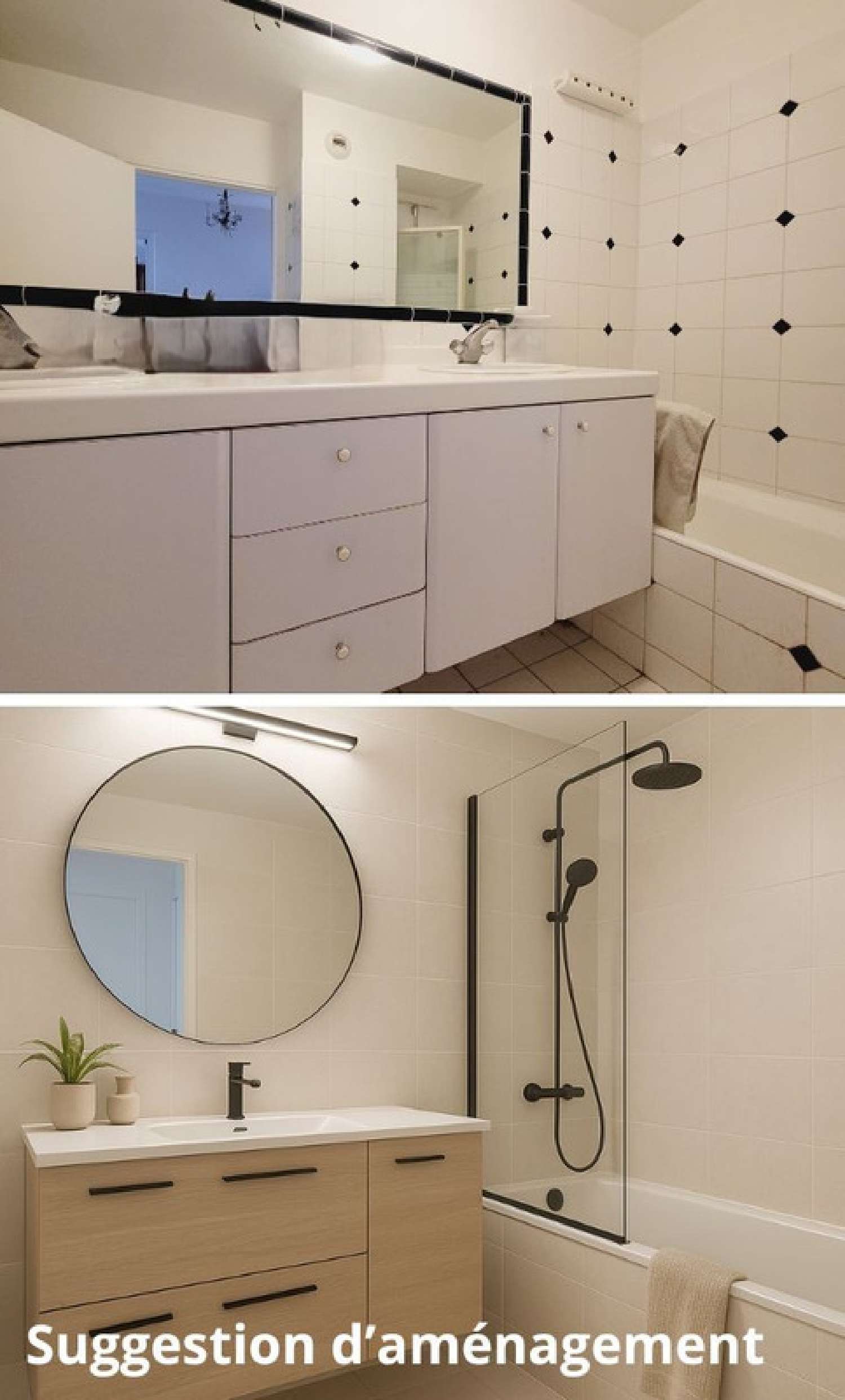 te koop appartement Charenton-le-Pont Val-de-Marne 5