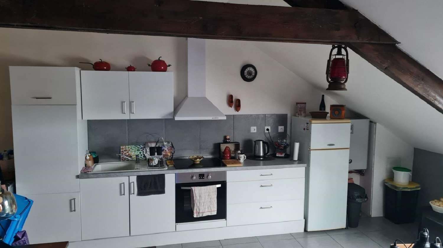  à vendre appartement Dieuze Moselle 3