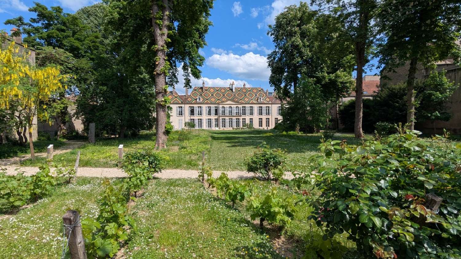  à vendre appartement Dijon Côte-d'Or 1