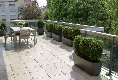 Ferney-Voltaire Ain appartement foto 7065445