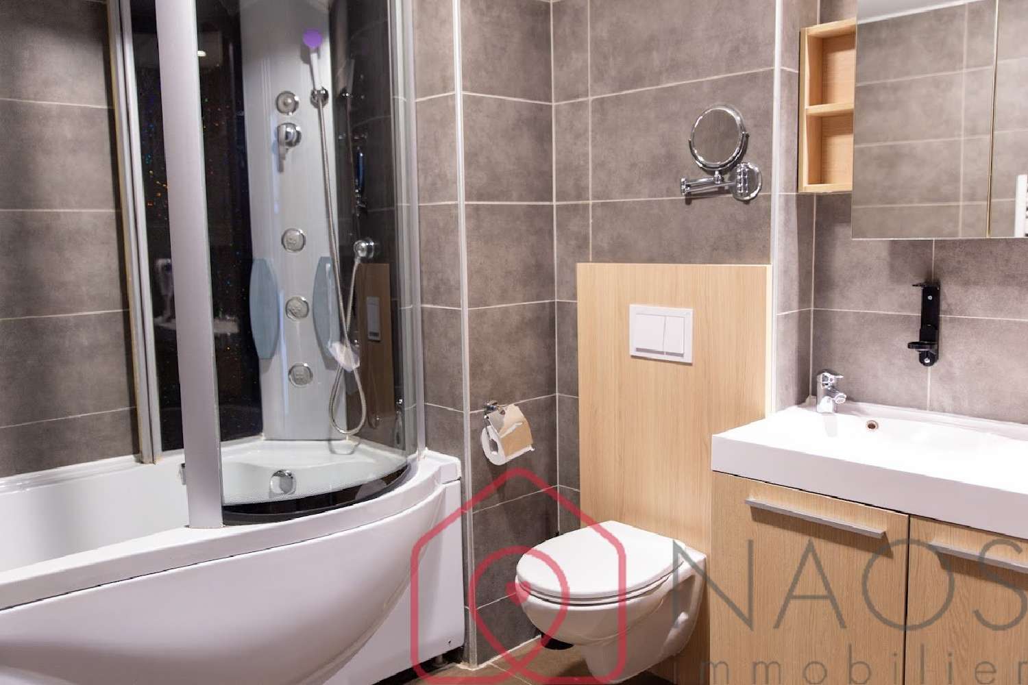  te koop appartement Ferney-Voltaire Ain 3
