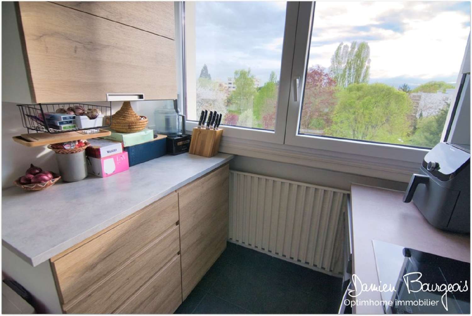  te koop appartement Ferney-Voltaire Ain 4