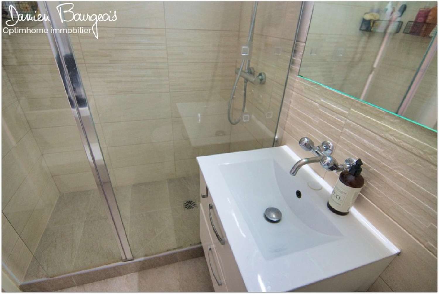  te koop appartement Ferney-Voltaire Ain 7