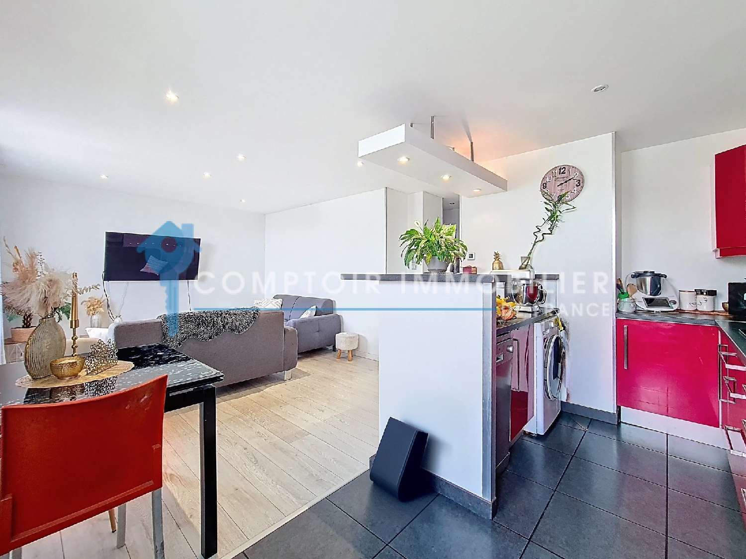  à vendre appartement Grenoble 38100 Isère 5