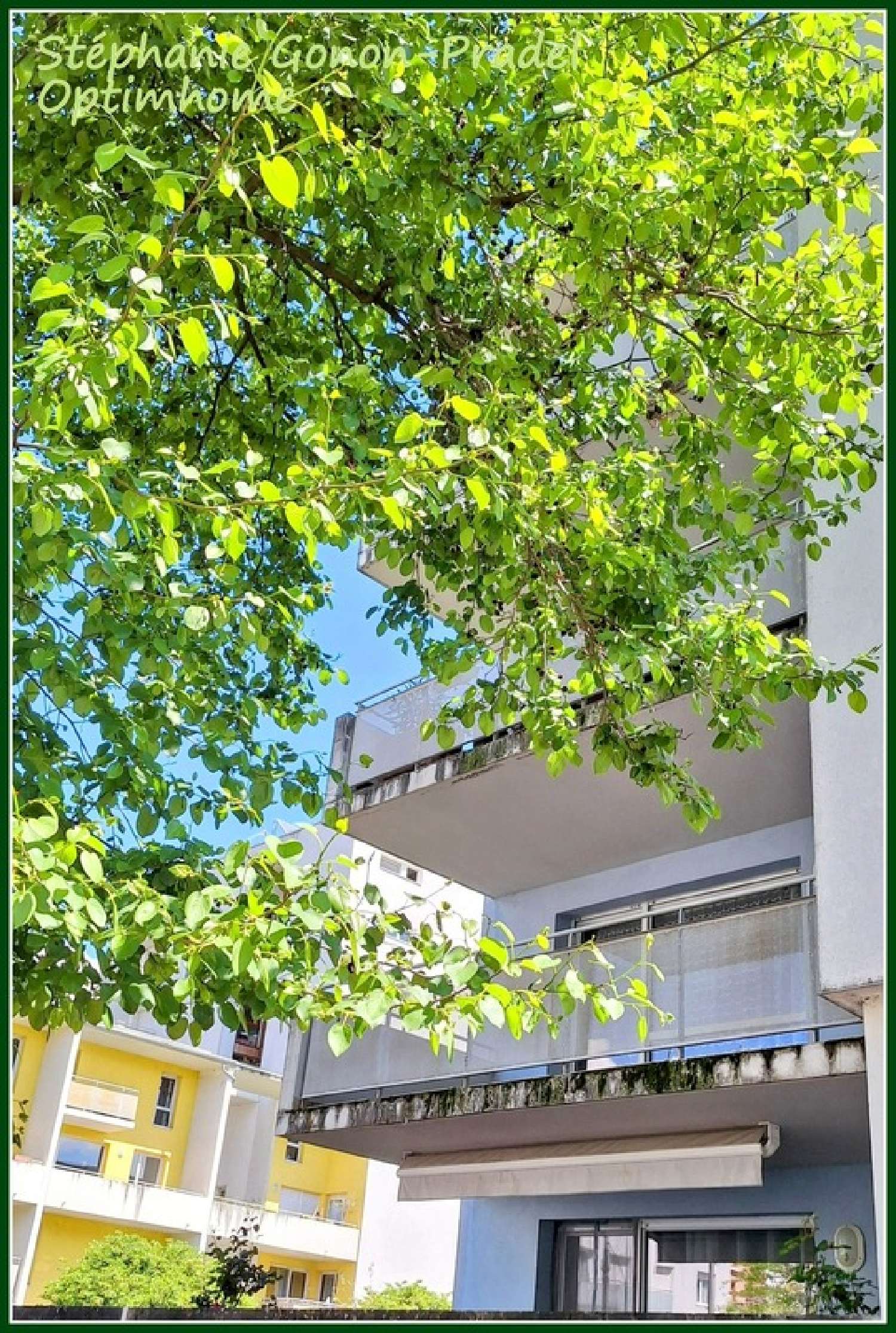  te koop appartement Grenoble 38100 Isère 1
