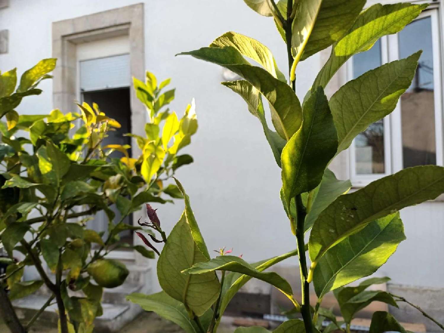  for sale apartment La Rochelle Charente-Maritime 2