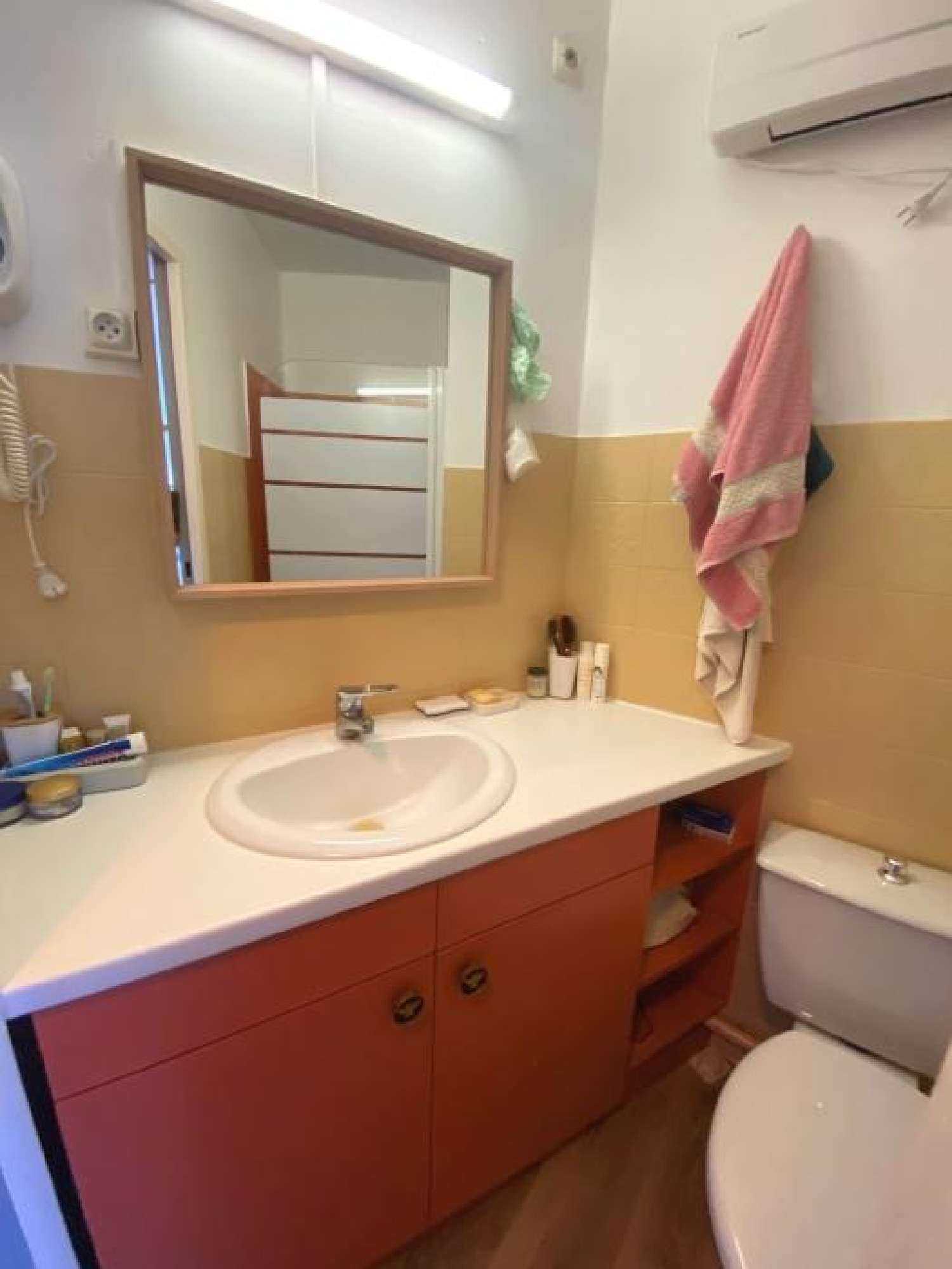  à vendre appartement Le Grau-du-Roi Gard 5
