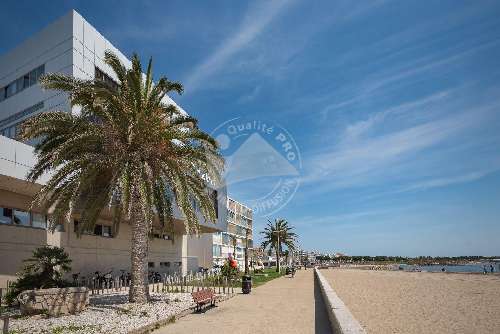 Le Grau-du-Roi Gard Wohnung/ Apartment Bild 7062285