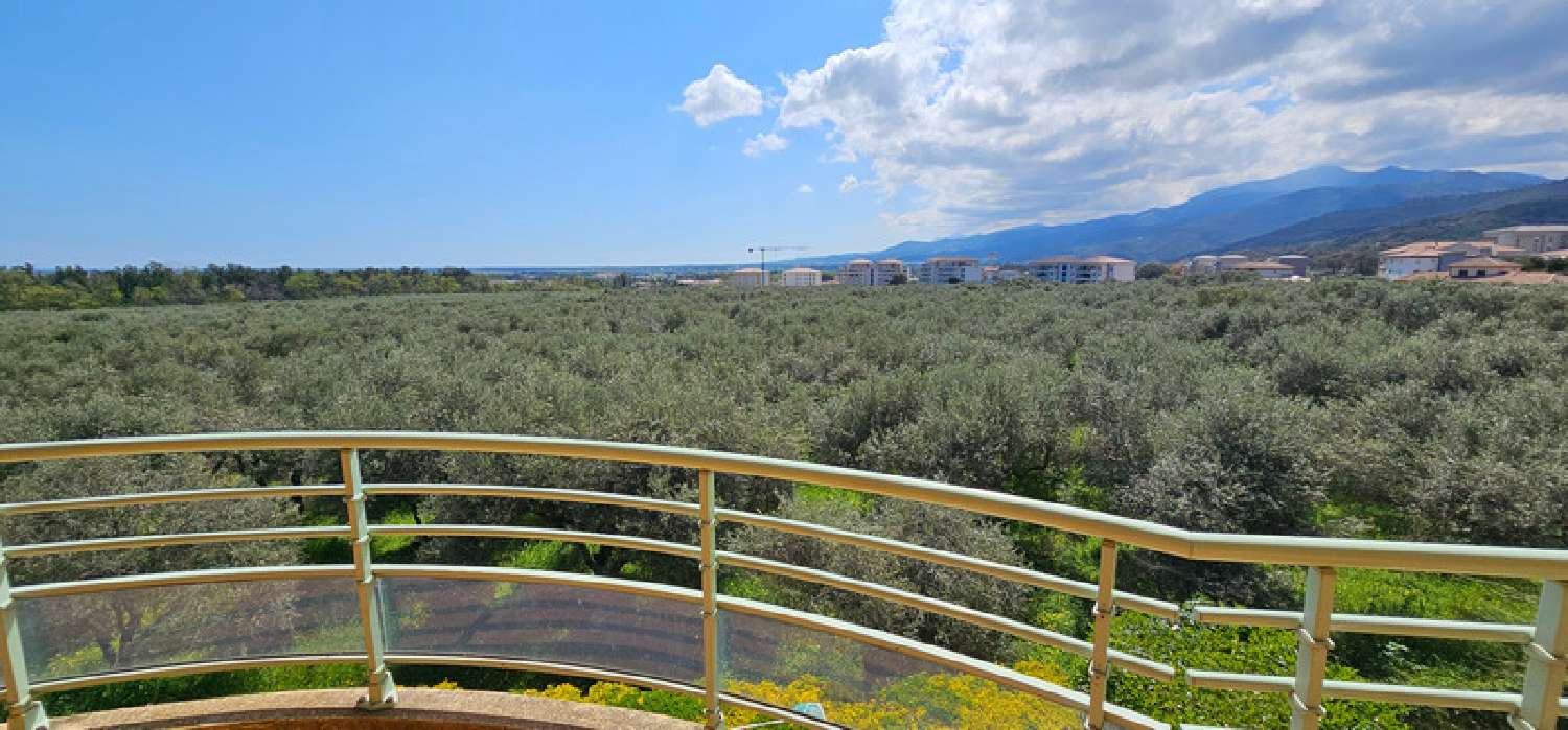  te koop appartement Lucciana Haute-Corse 3