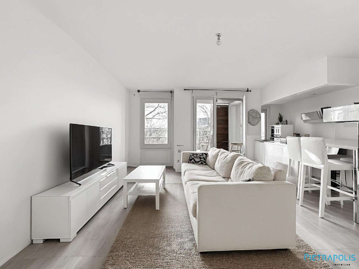  te koop appartement Lyon 7e Arrondissement Rhône 4