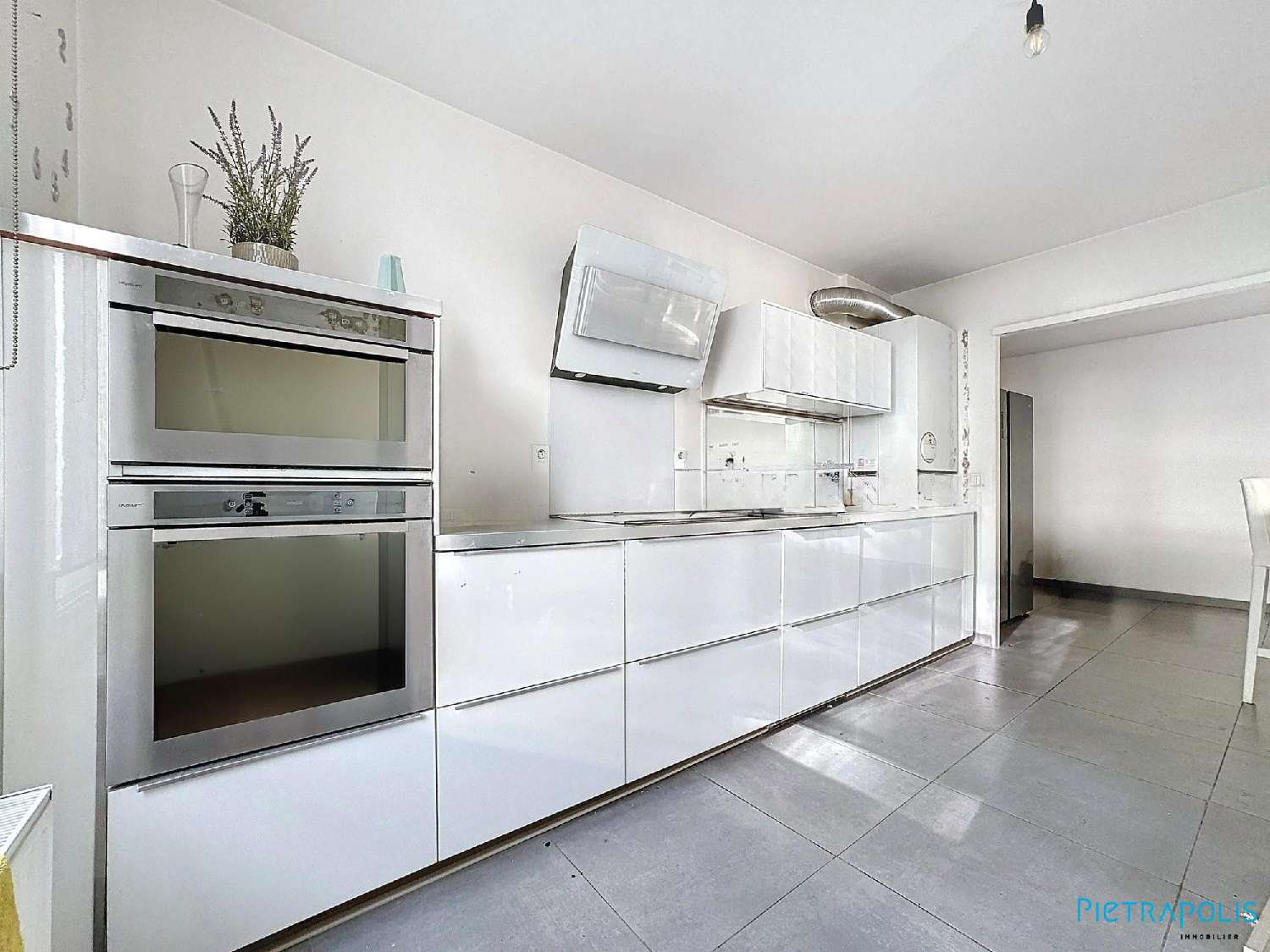  te koop appartement Lyon 7e Arrondissement Rhône 6