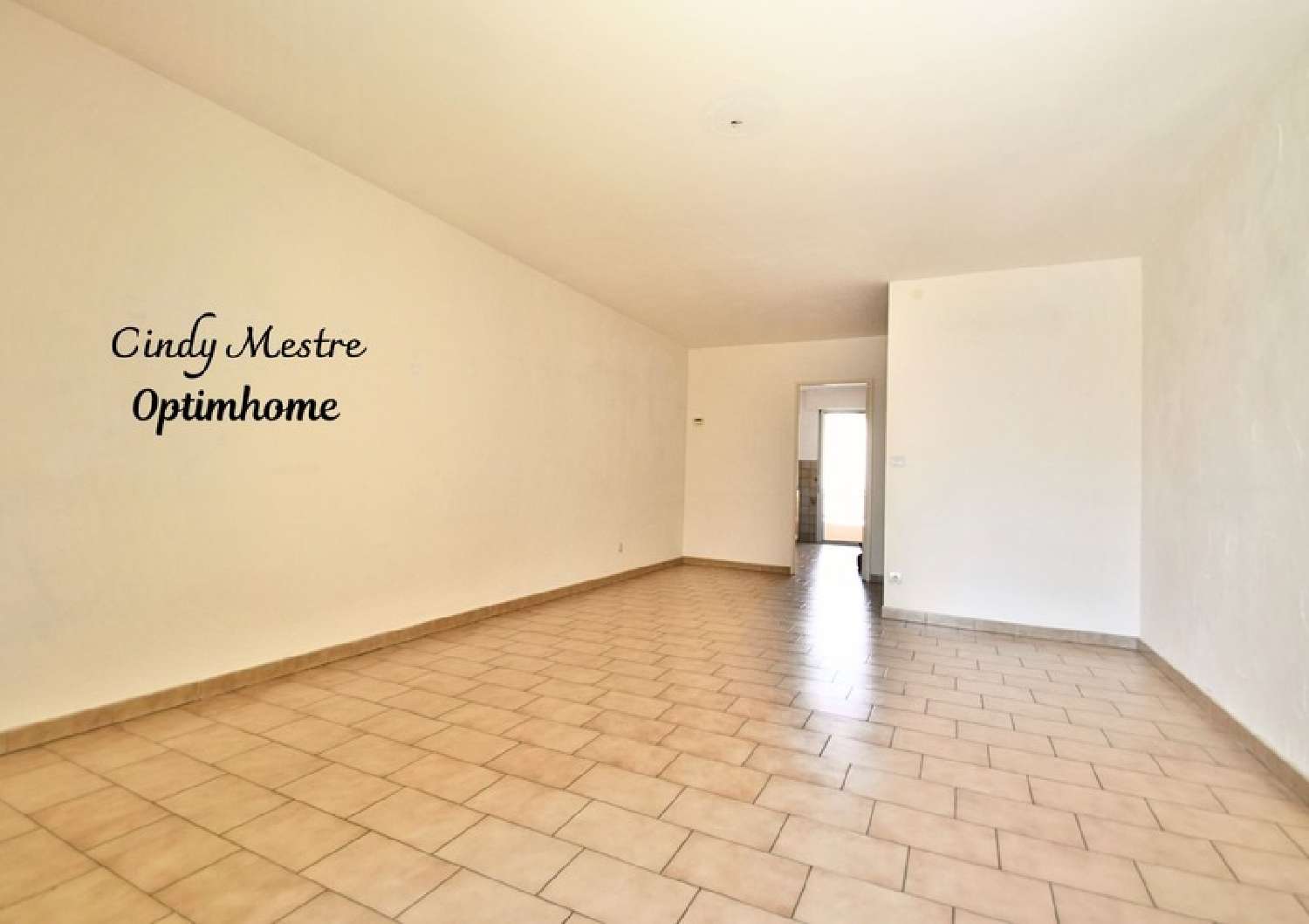  te koop appartement Perpignan Pyrénées-Orientales 3