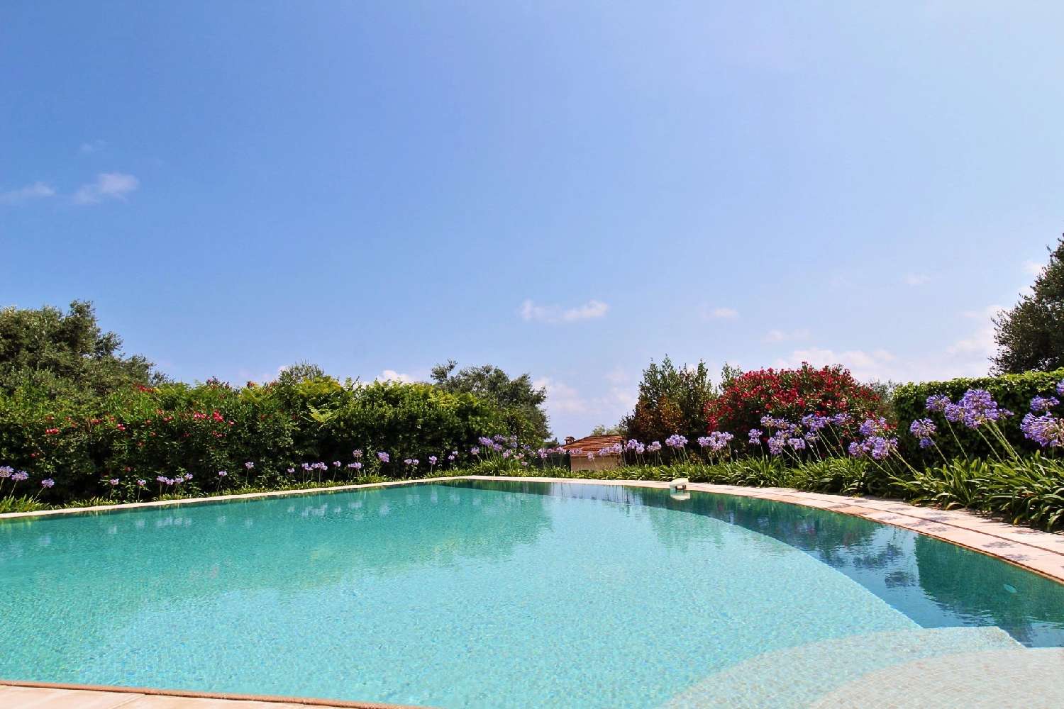 te koop appartement Roquebrune-Cap-Martin Alpes-Maritimes 4