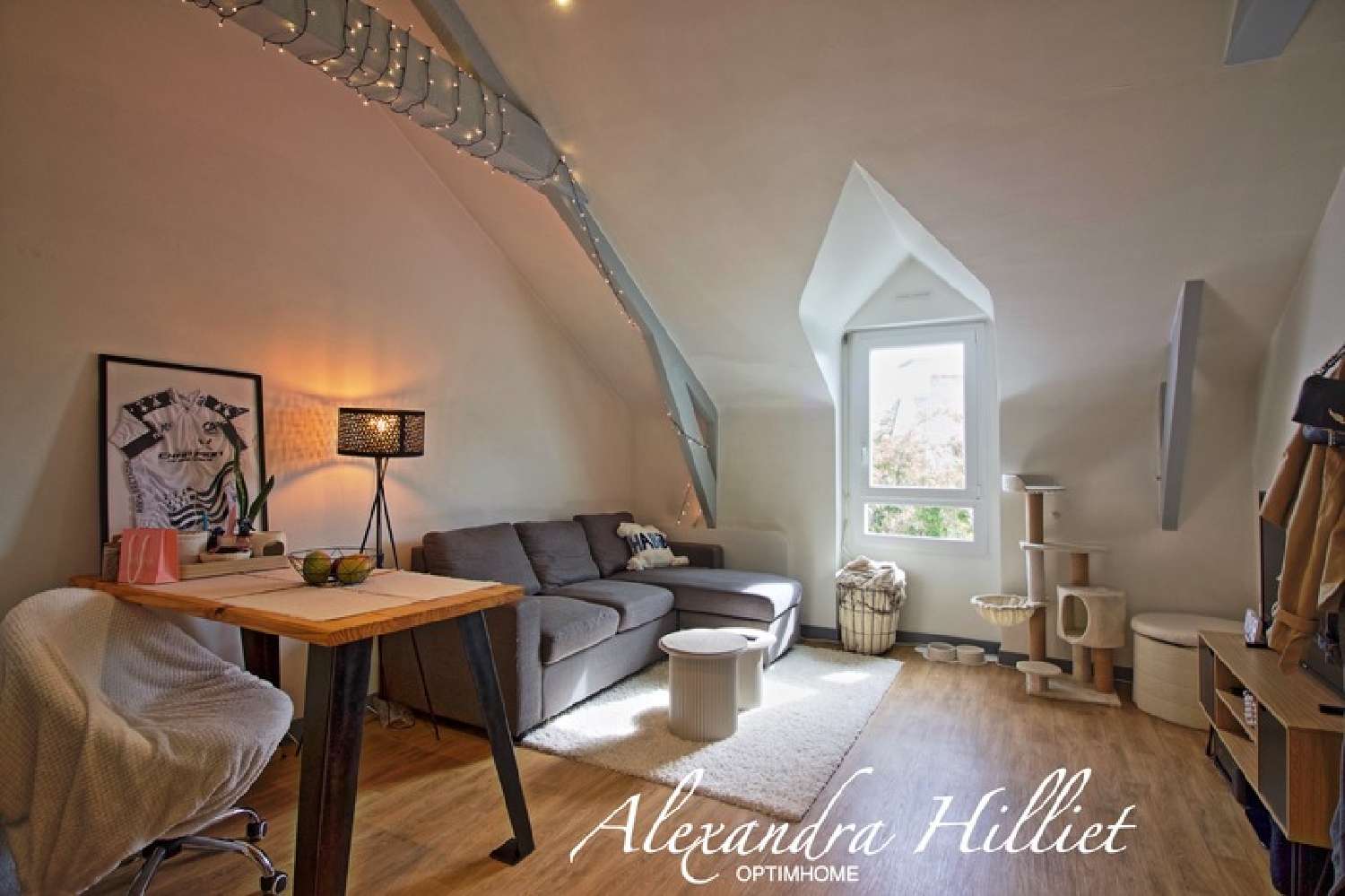  te koop appartement Saint-Avé Morbihan 1