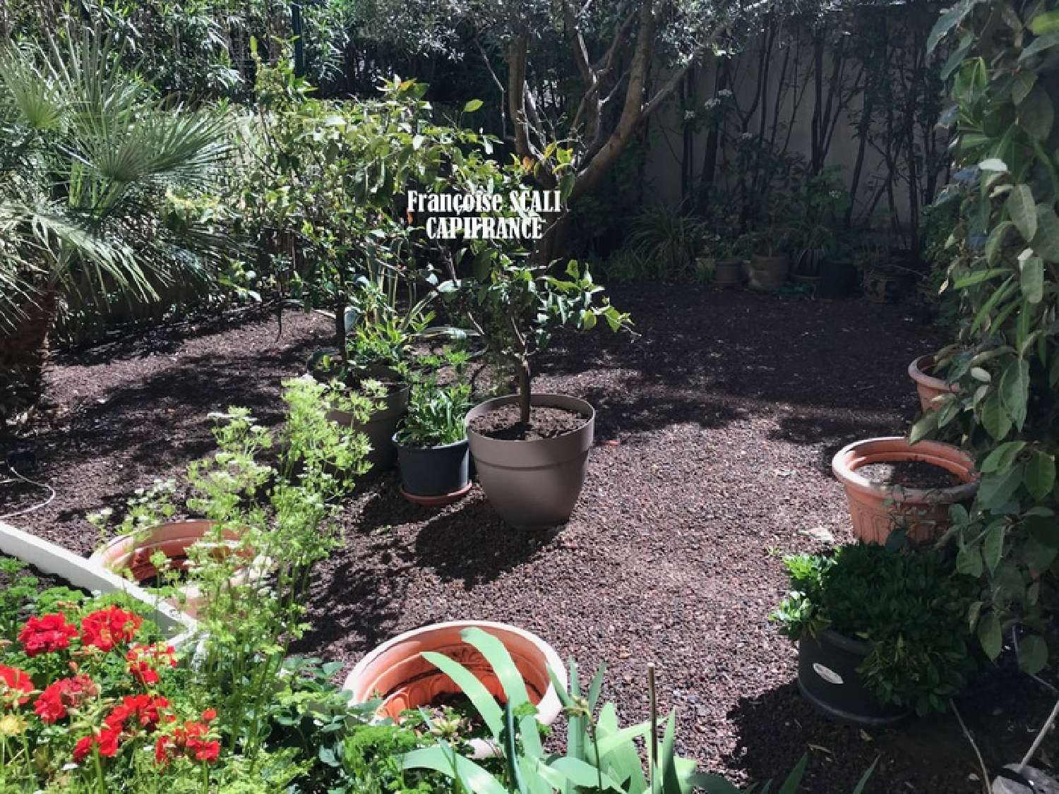  te koop appartement Saint-Raphaël Var 2