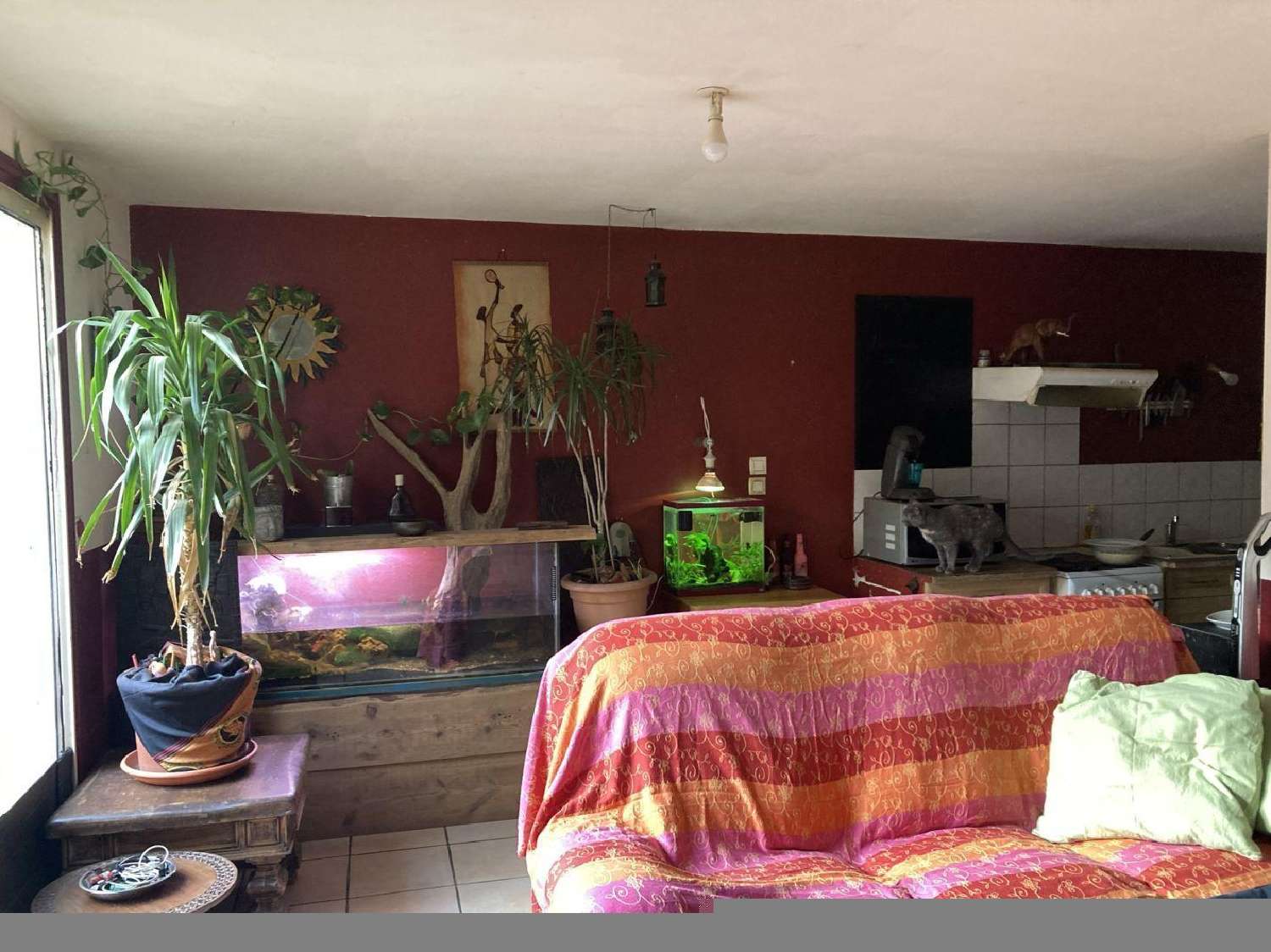  te koop appartement Sallèles-d'Aude Aude 4