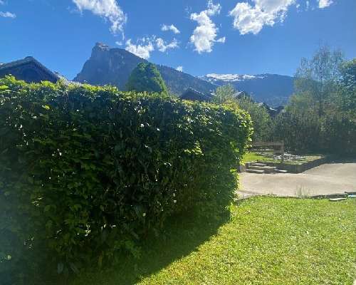 Samoëns Haute-Savoie Wohnung/ Apartment Bild 7063930
