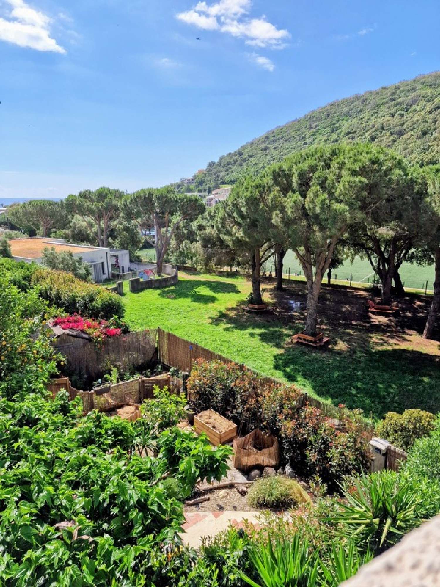  kaufen Wohnung/ Apartment Santa-Maria-di-Lota Haute-Corse 3