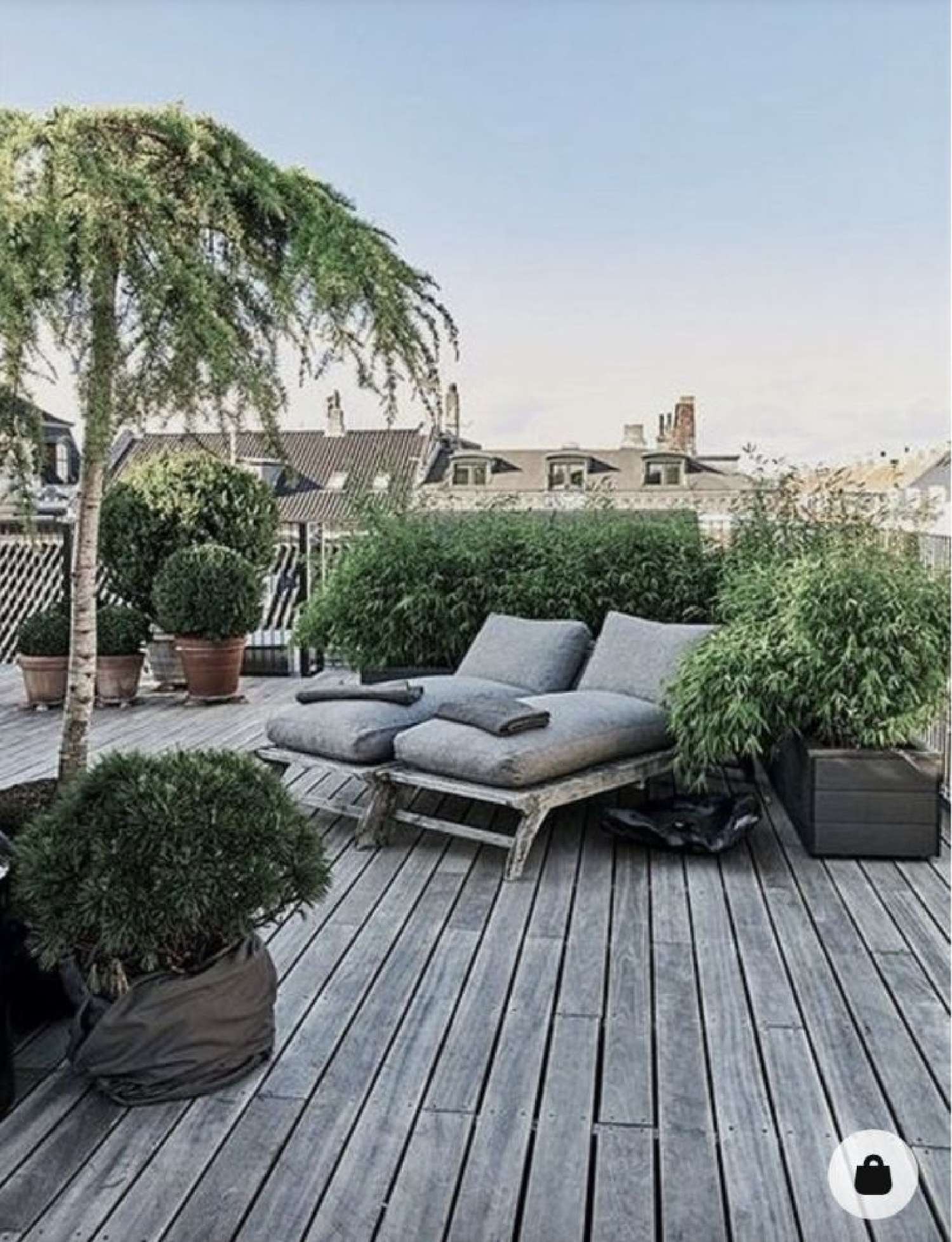  te koop appartement Tassin-la-Demi-Lune Rhône 1